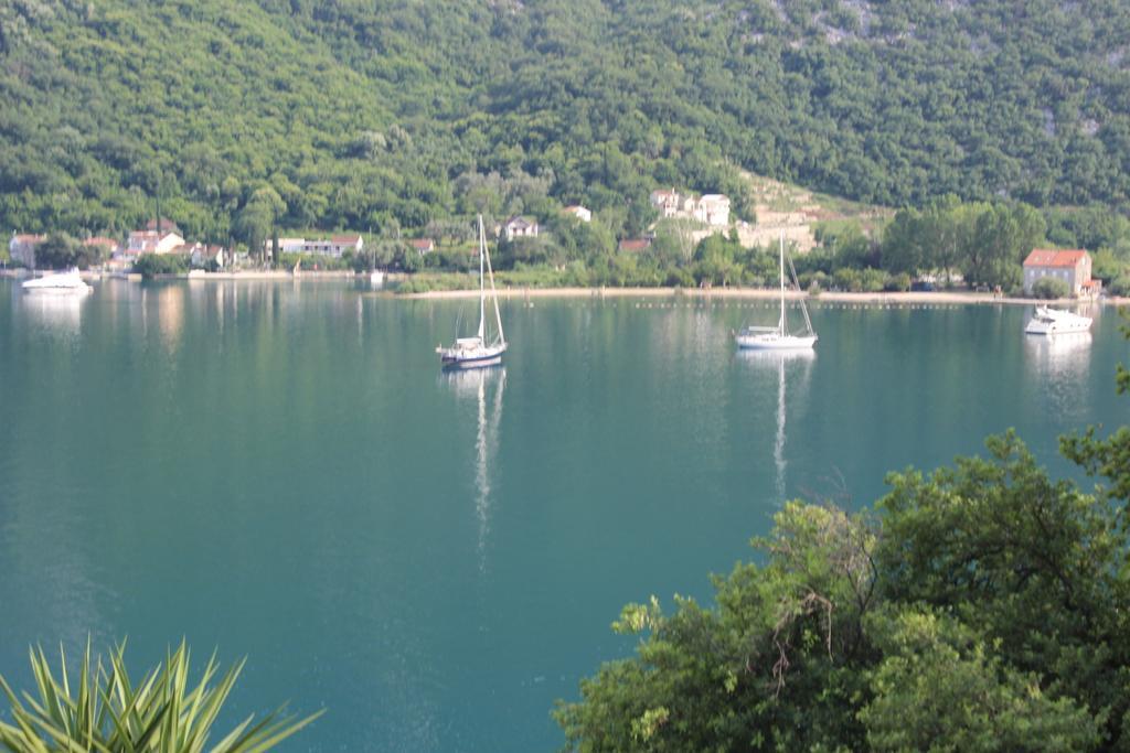 Apartments Mijuskovic Долни Морин Стая снимка